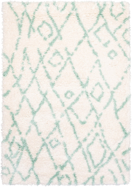 Texas Shaggy 19092 Area Rug
