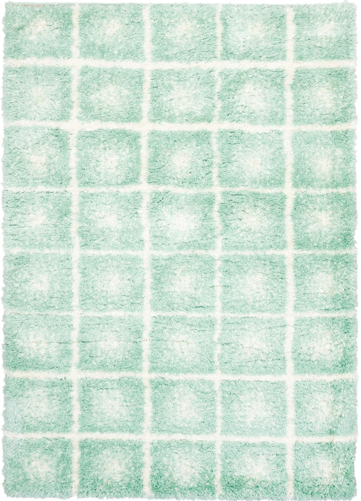Texas Shaggy 00154 Area Rug