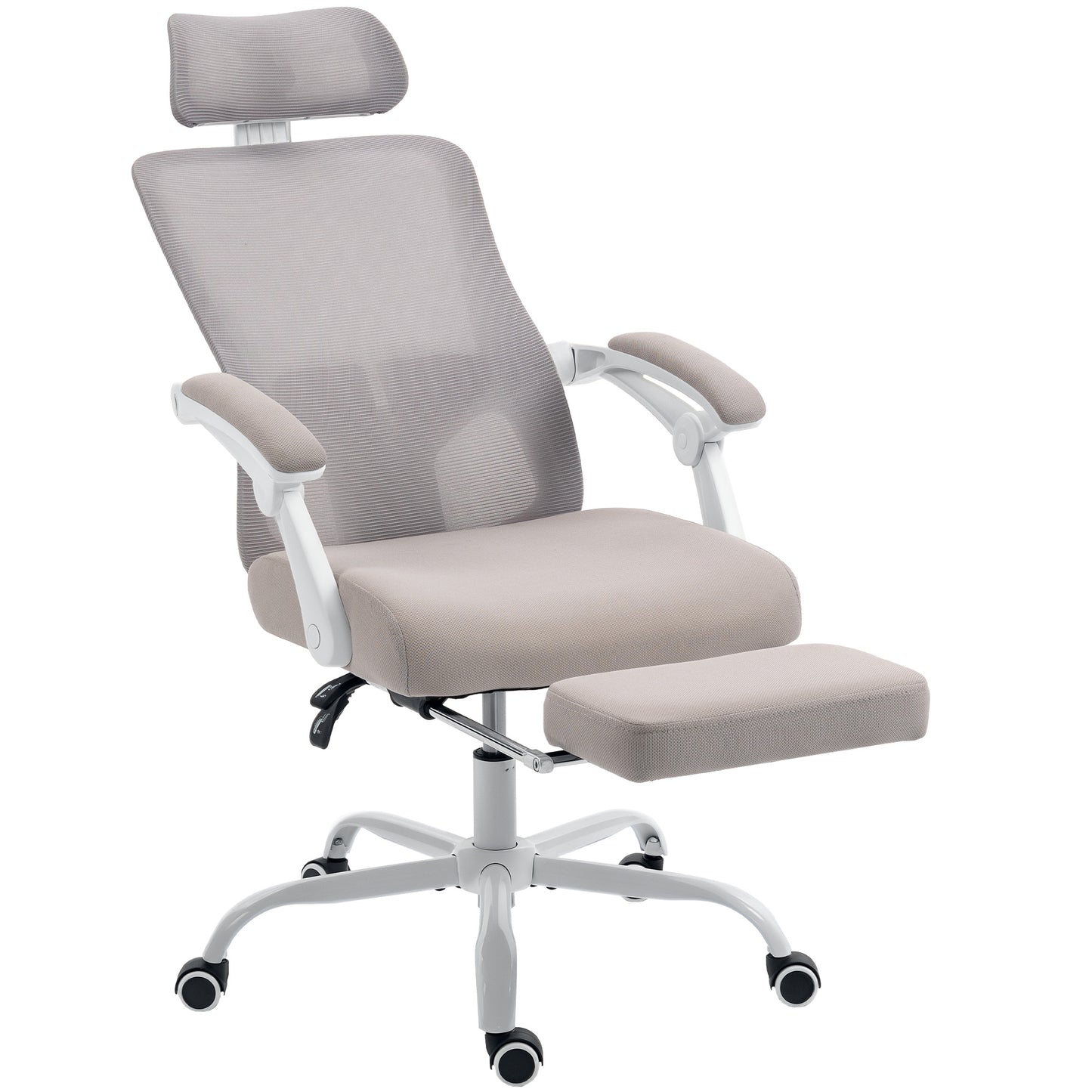 HOMCOM Ergonomic Mesh Reclining Office Chair with Adjustable Lumbar Support & Headrest