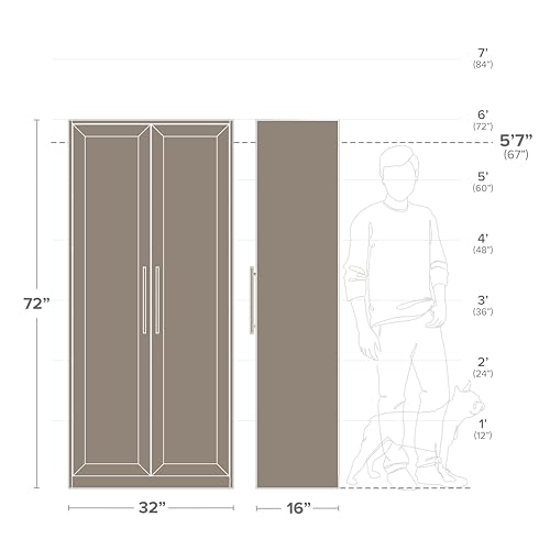 Tall Garage Storage Cabinet & Pantry Storage Cabinet, 2-Door Freestanding Garage Cabinet with Adjustable Shelves, 16"D x 32"W x 65"H, Black BES-3264