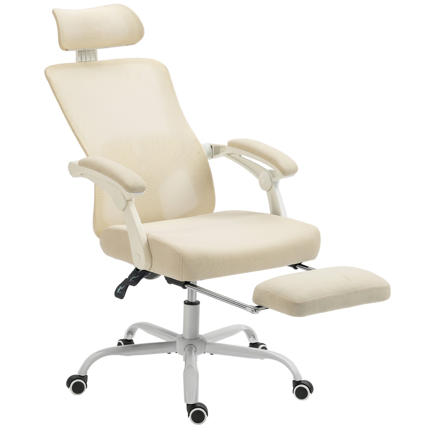 HOMCOM Ergonomic Mesh Office Chair: Reclining, Adjustable Lumbar Support, Headrest, Footrest
