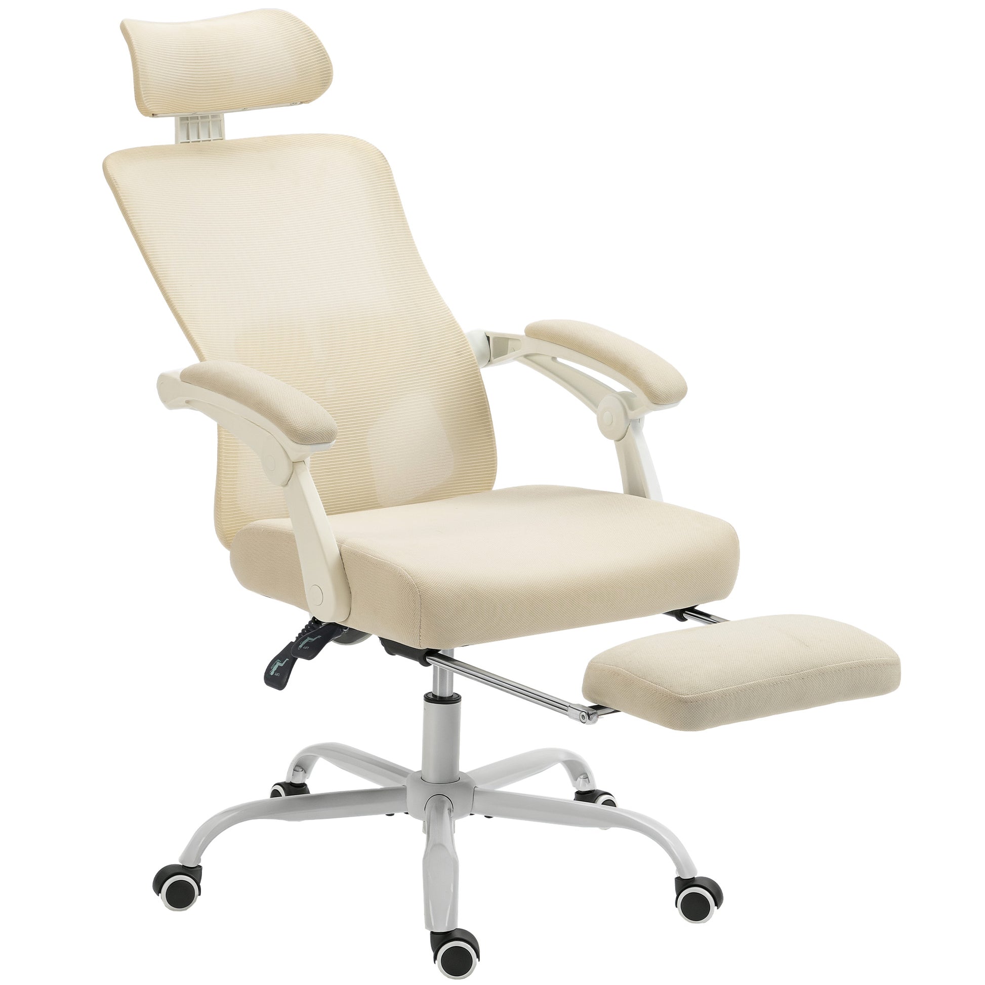 HOMCOM Ergonomic Mesh Office Chair: Reclining, Adjustable Lumbar Support, Headrest, Footrest