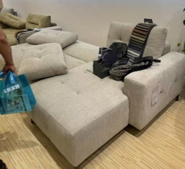 Brassex LHF Sectional Sleeper Beige