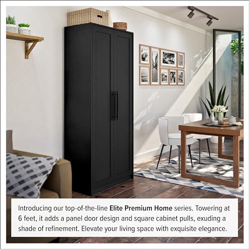 Tall Garage Storage Cabinet & Pantry Storage Cabinet, 2-Door Freestanding Garage Cabinet with Adjustable Shelves, 16"D x 32"W x 65"H, Black BES-3264