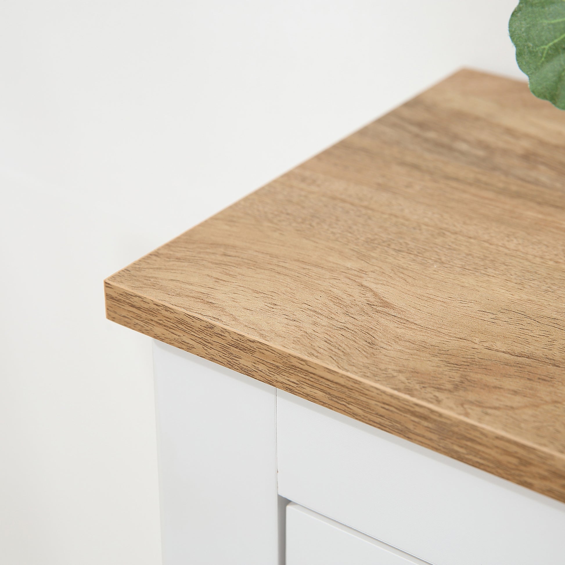 Modern Entryway Shoe Cabinet with 2 Flip Drawers, Adjustable Shelves, 12-Pair Storage