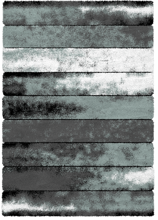 Auston Shaggy P807A Area Rug