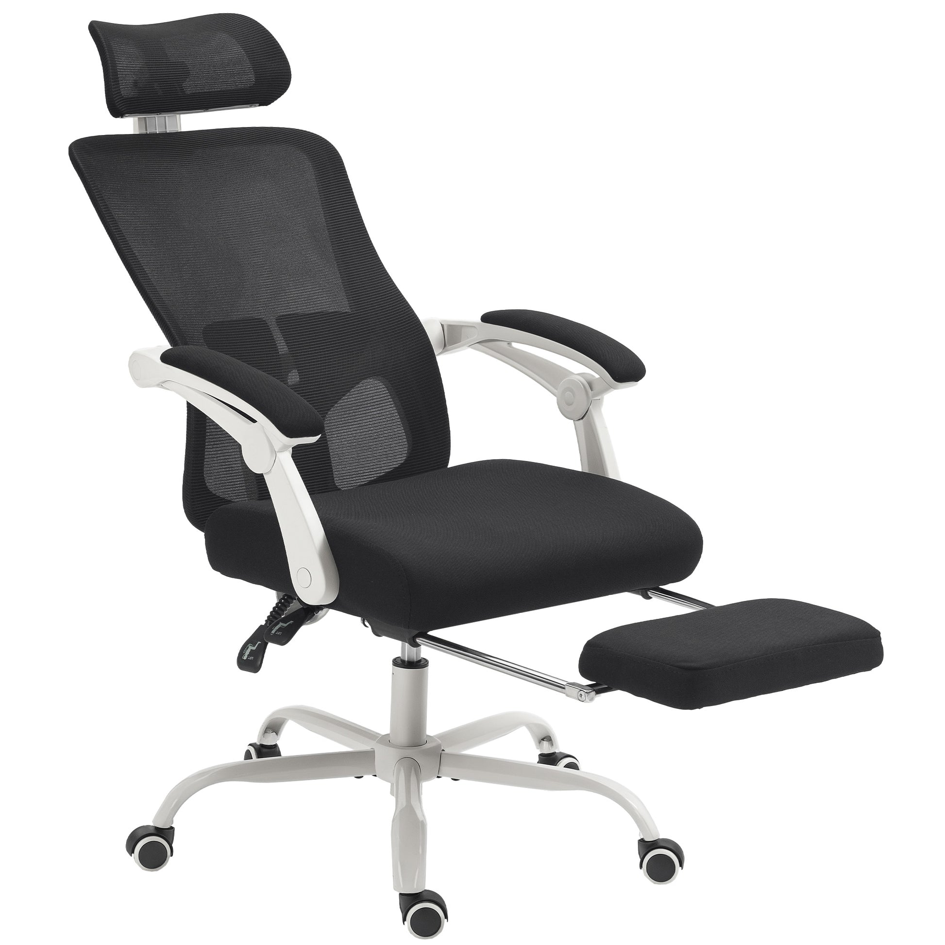 HOMCOM Ergonomic Mesh Reclining Office Chair with Adjustable Lumbar Support & Footrest, Black