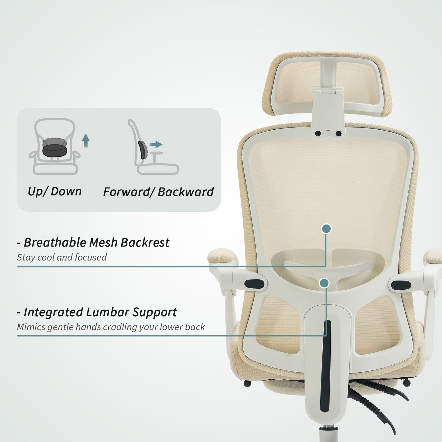 HOMCOM Ergonomic Mesh Office Chair: Reclining, Adjustable Lumbar Support, Headrest, Footrest