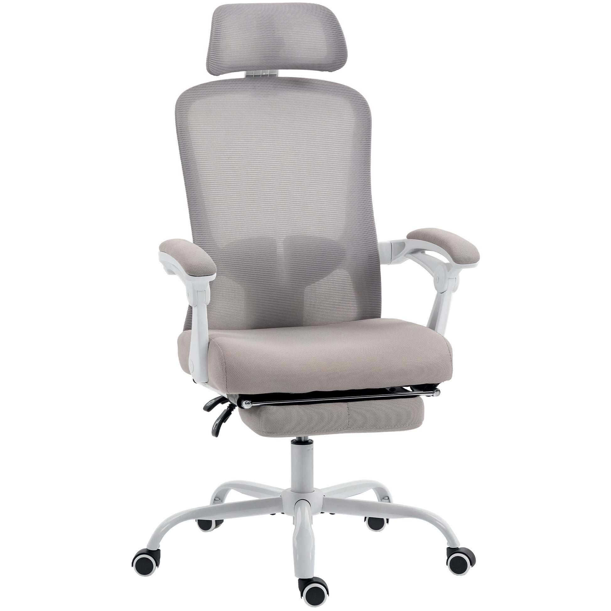 HOMCOM Ergonomic Mesh Reclining Office Chair with Adjustable Lumbar Support & Headrest