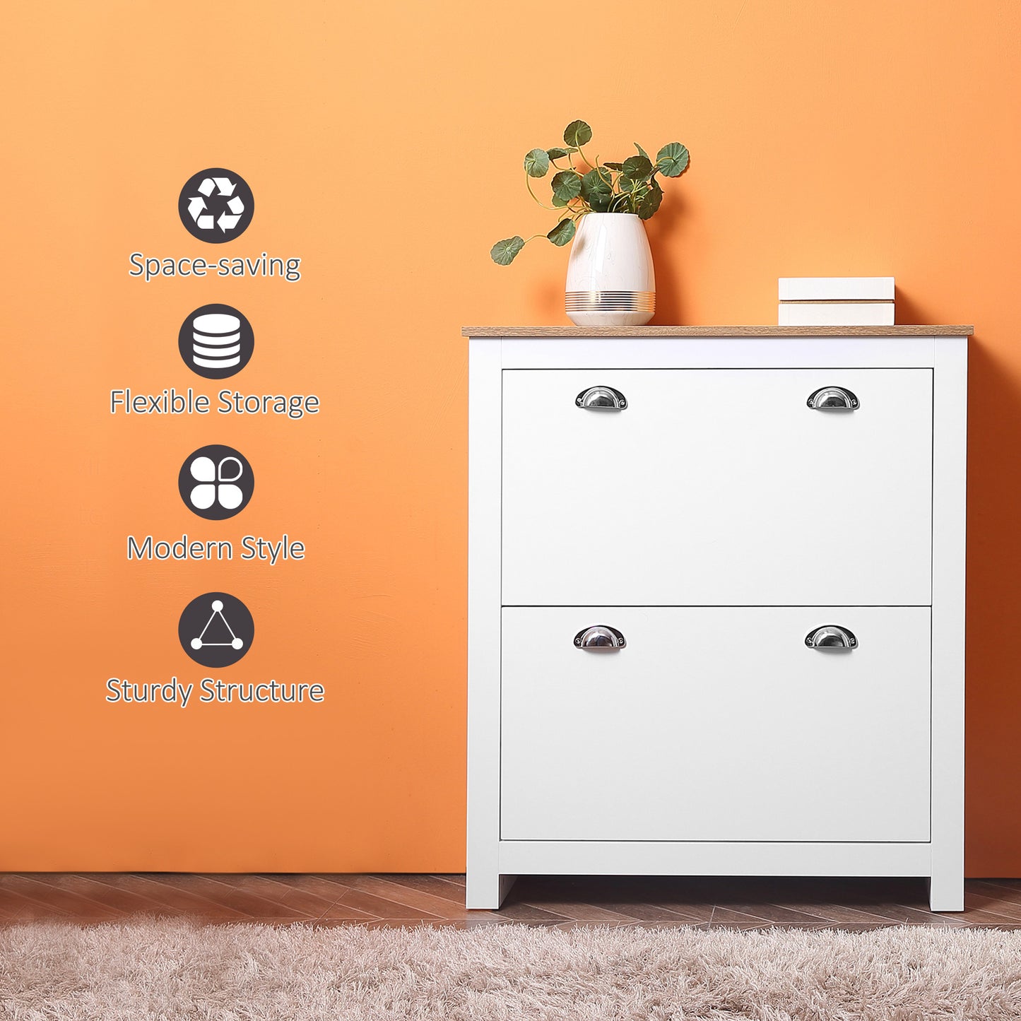 Modern Entryway Shoe Cabinet with 2 Flip Drawers, Adjustable Shelves, 12-Pair Storage