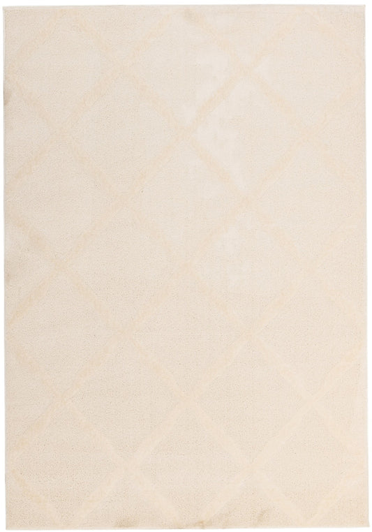 Indian 12501A Area Rug