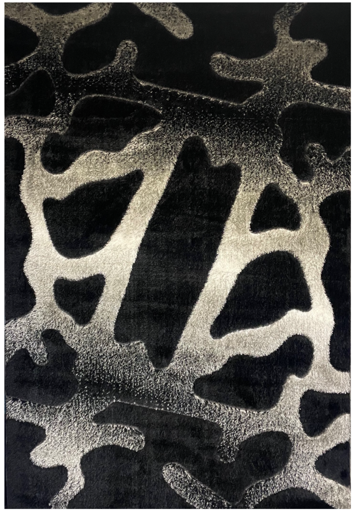 Colorado Shaggy P6169A-BW Area Rug
