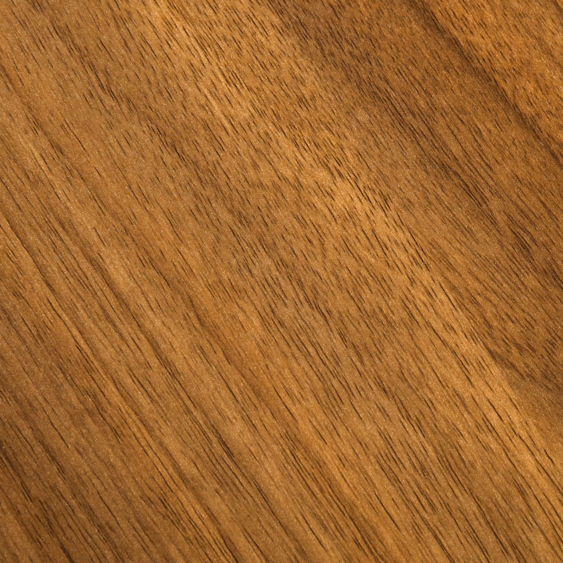 HOMCOM Modern Walnut Bedside Nightstand with Drawer and Open Storage Shelf