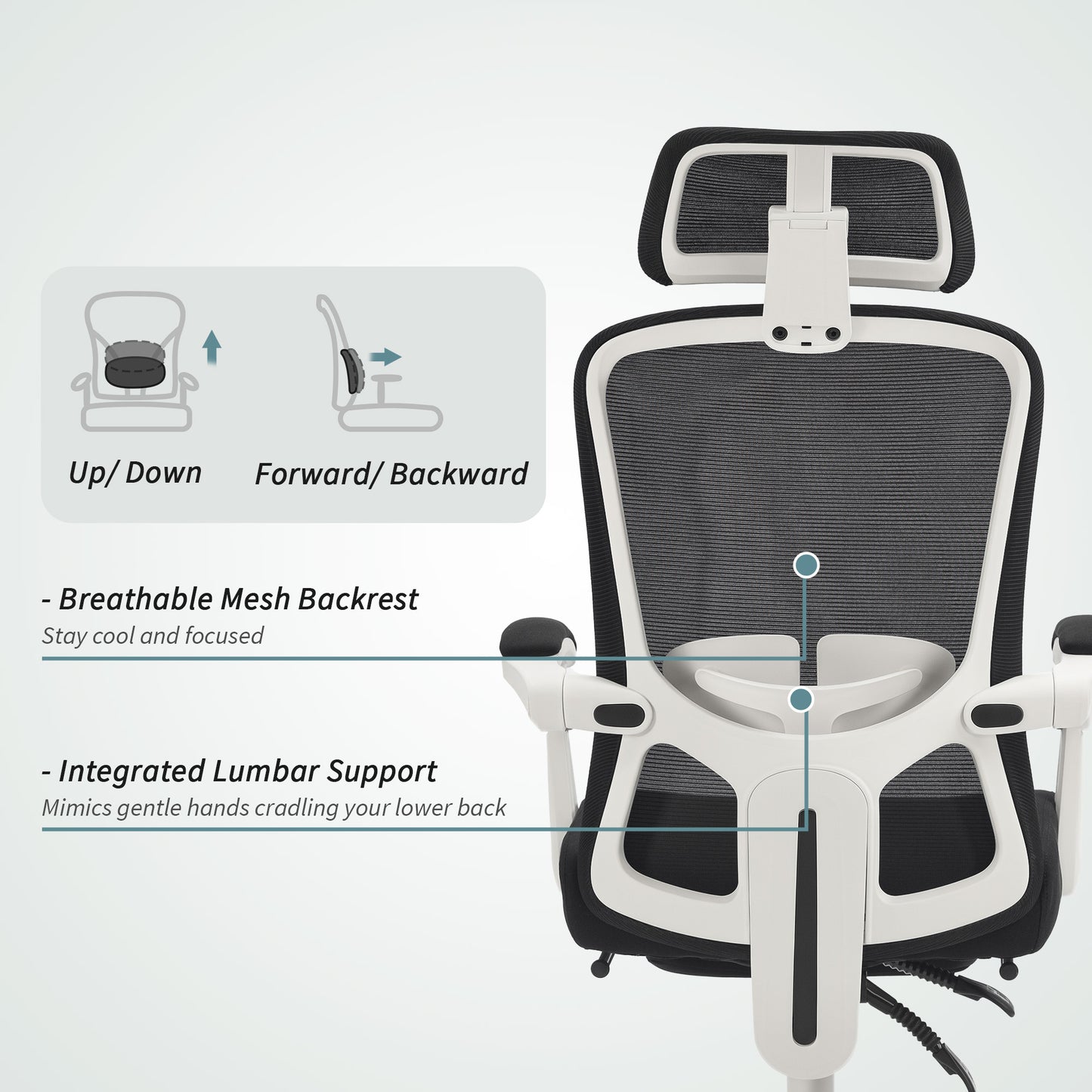 HOMCOM Ergonomic Mesh Reclining Office Chair with Adjustable Lumbar Support & Footrest, Black