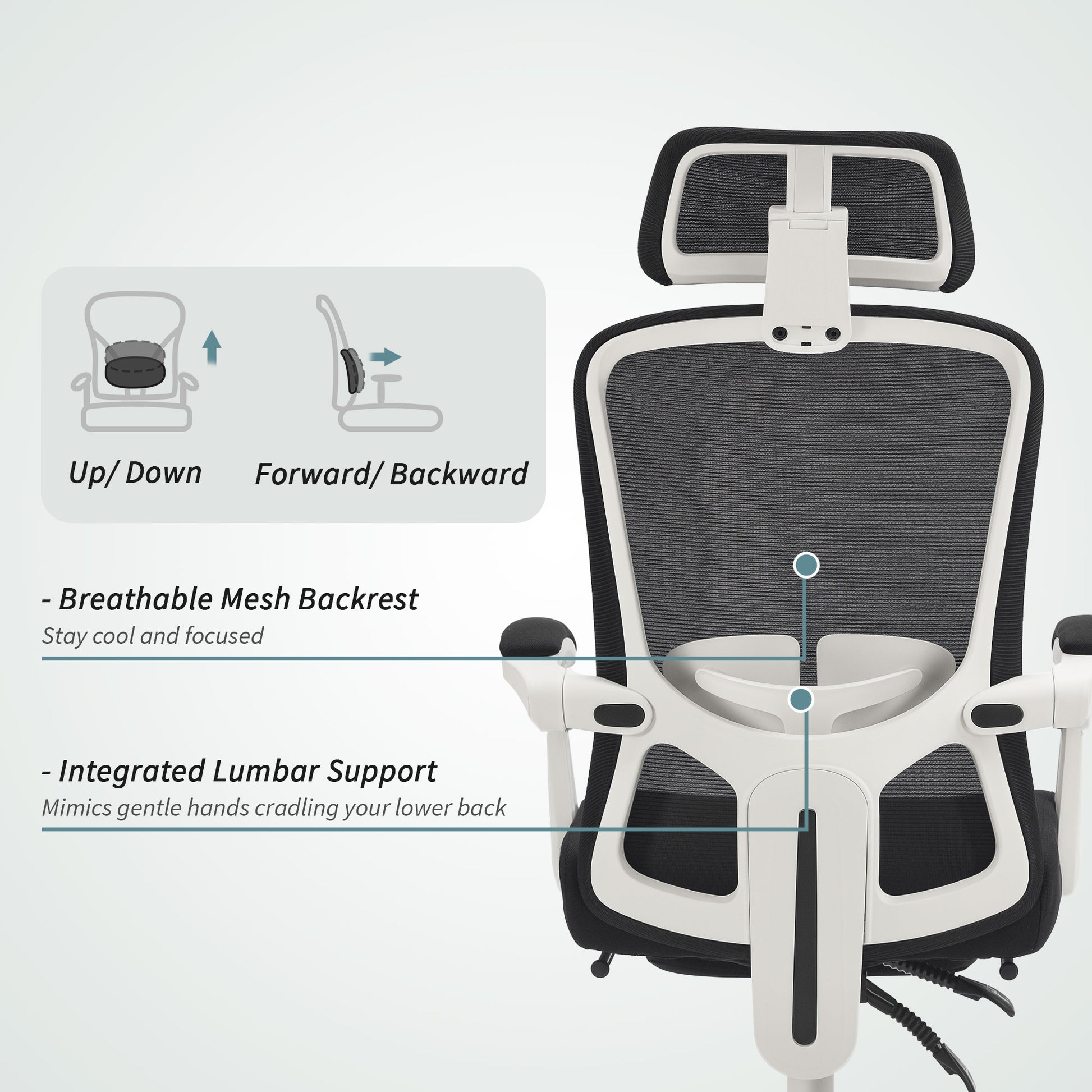 HOMCOM Ergonomic Mesh Reclining Office Chair with Adjustable Lumbar Support & Footrest, Black