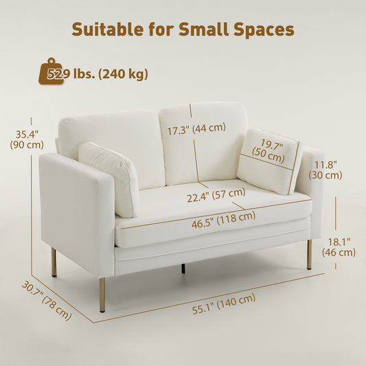 55" Loveseat with Metal Legs & Pillows